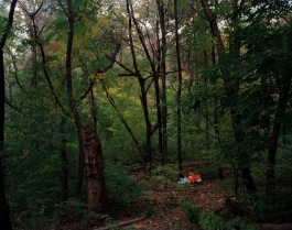 Central Park HallettNatureSanctuaryJMeyerowitz